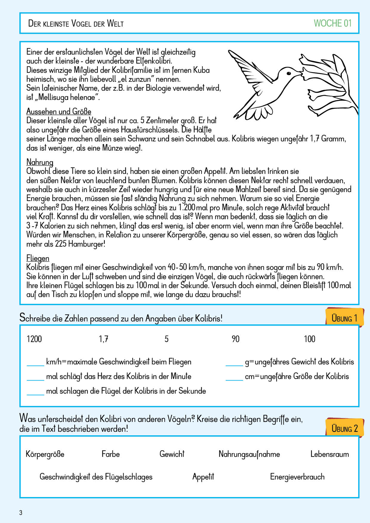 HH_WochenLeseHeft05_A4_innen04.jpg
